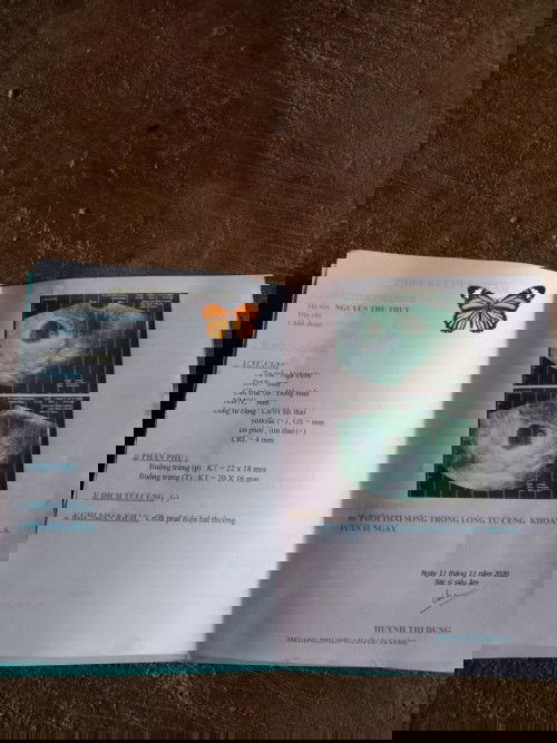 Cả nhà ơi cho e hỏi là tuần bao nhiêu thì đi lấy máu xét nghiệm được ạ