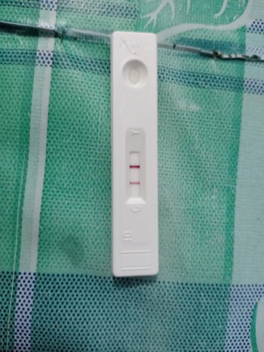 Pregnancy Test Result