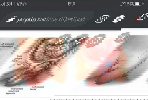 tolong dijawab ya bun