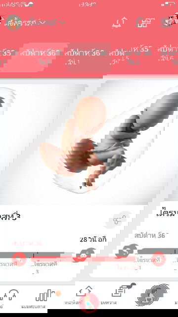 ปวดหลอกทุกคืนค่ะ เวลานั่งฉี่เหมือนจะมีอะไรหลุดออกมา