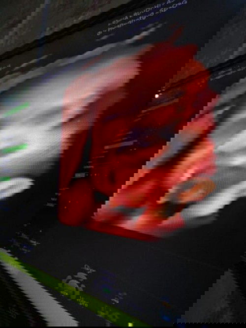 Usg 4d keliatan aneh