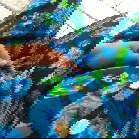 3 bulan tapi besar perut segini?