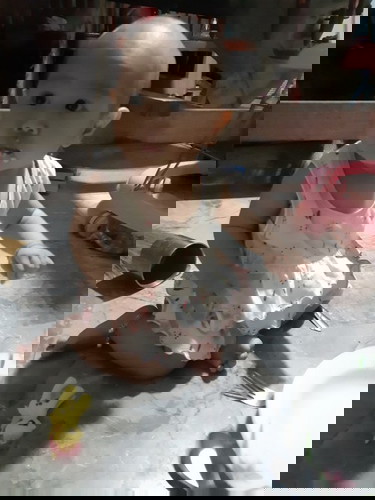 #6เดือน14วัน