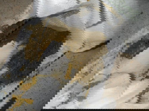 (Warning ini foto pup bayi)
Diare ato normal???