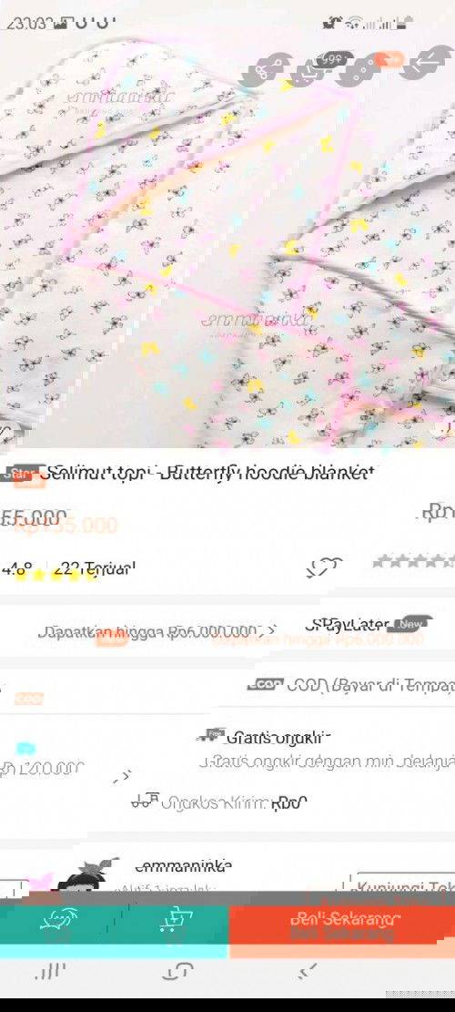 Sleeping bag vs hooded blanket