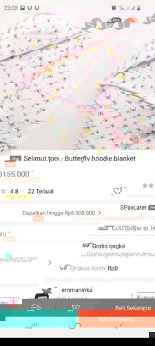 Sleeping bag vs hooded blanket