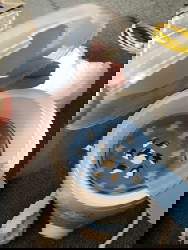 Jual Preloved Bottle Warmer