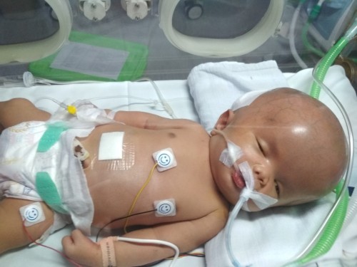 Mohon bantu share Bun π