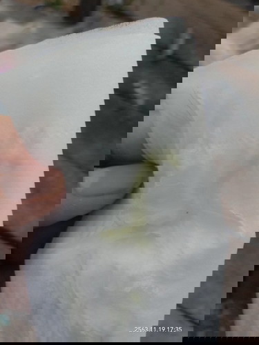 ท้องแรกค่ะ