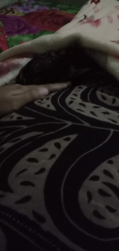 Bnda mau tanya,Usia kehamilanku di bku KIA baru 12 minggu tapi di apliksi ini 15 minggu. Hpht 6 agus