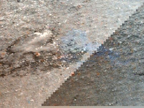 ขอคำแนะนำ.