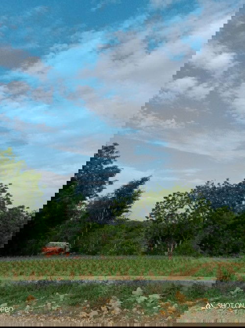 Suasana Pagi yg cerah