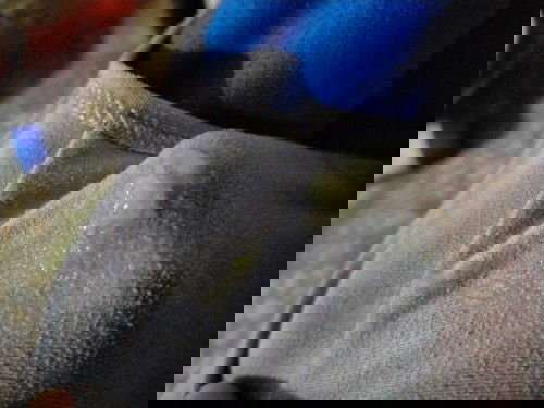 ครรภ์38วีค