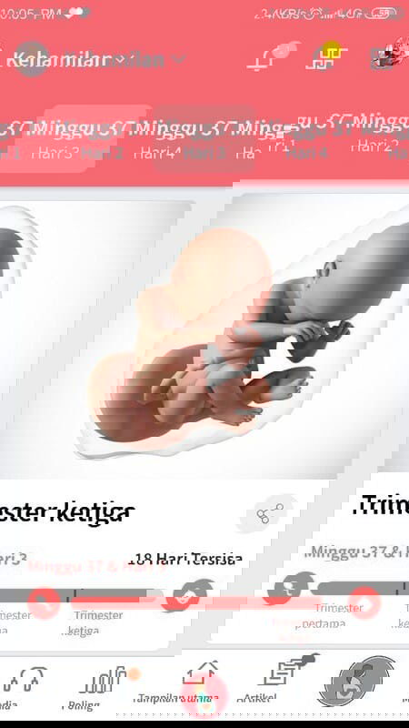 Bismillahirohmanirohim