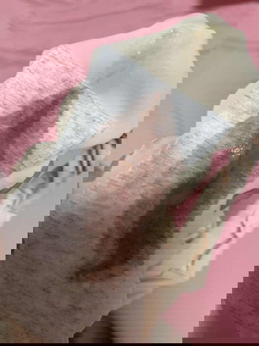 Bleeding with mucus plug