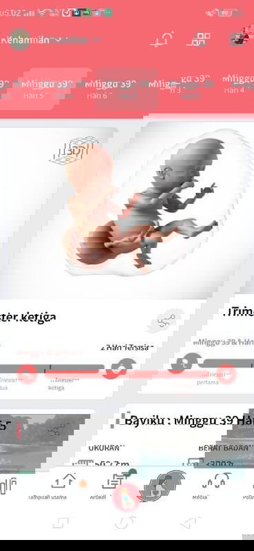 Masi menunggu sinyal cinta