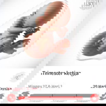 Hpl SpOG 11 Desember...hpl bidan 18 desember semoga d beri kesehatan dan kelancaran ...amin