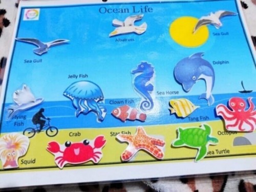 INTERACTIVE LEARNING ACTIVITIES