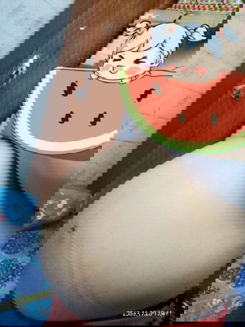 ลูกแม่ๆเป็นไงกันบ้างแล้วค่ะ ท้องแม่ๆใหญ่ขนาดไหนกันแล้วค่ะ
31w3d