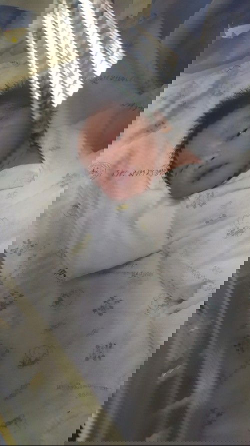 เกิดแล้วครับ เด็กชาย