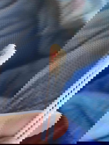 มีมูกเลือดขณะตั้งครรภ์