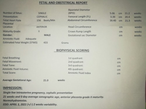 About Pelvic ultrasound