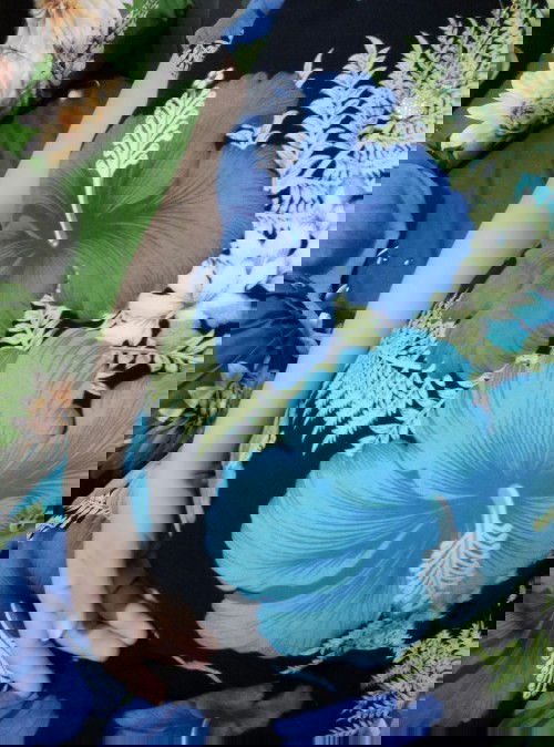 HPL 3 Januari 2021 ada yg samaan gak bun??  Hehe semoga kita selalu dalam keadaan sehat yaa bun..