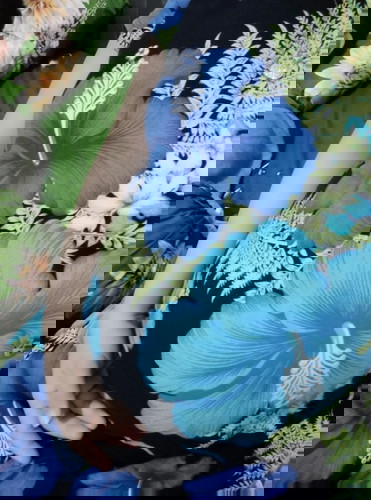 HPL 3 Januari 2021 ada yg samaan gak bun?? Hehe semoga kita selalu dalam keadaan sehat yaa bun..