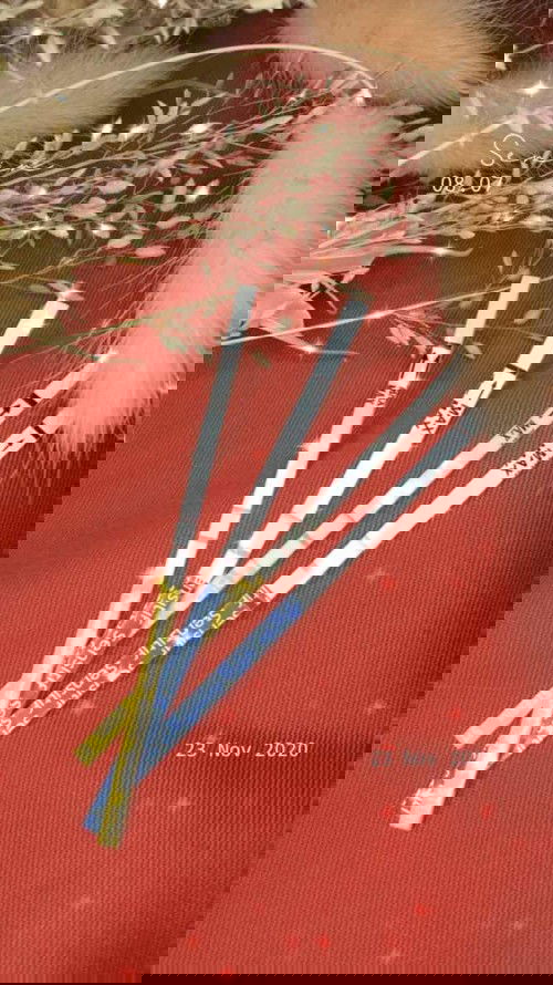 Rekomendasi susu hamil