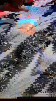 Give away booster asi