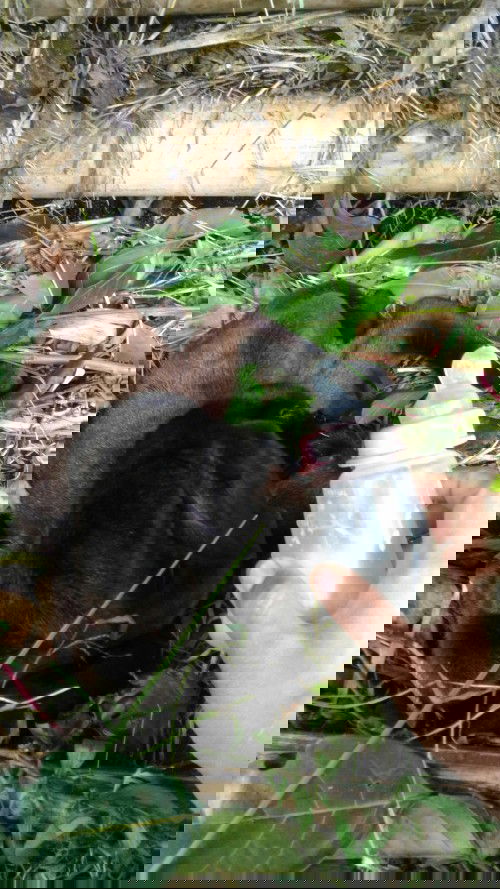 Mengeluarkan unek unek