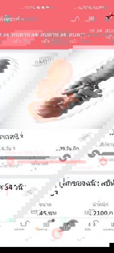ทีม คลอด มกราคม