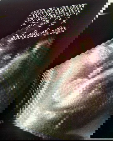 ให้เห็นเเต่ไข่. ทุกรอบเลย ขี้อายจริงๆ