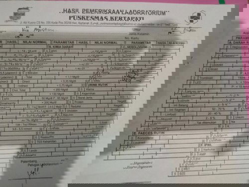 Positif penykit kuning