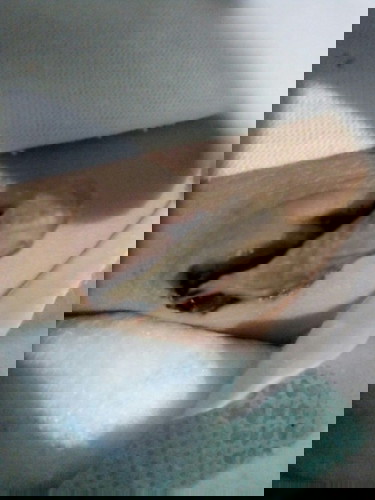 Pusod po.. Sorry for the picture..