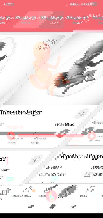 Menunggu si kecil launching