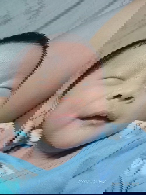 ต้าวหมูน้อยย