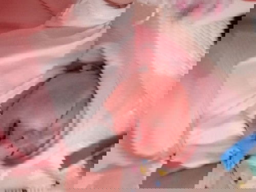 Welcome to the world