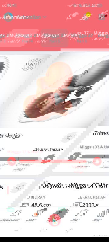 Hpl 11 Desember 2020