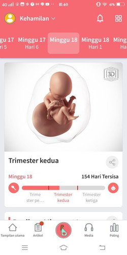 jenis kelamin