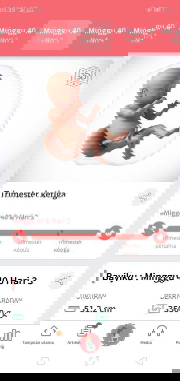 Belum masuk panggul lewat hpl