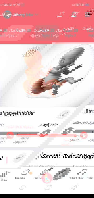 Mong ngày gặp con