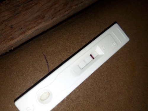 PLEASE ANSWER PO. THANKYOU.