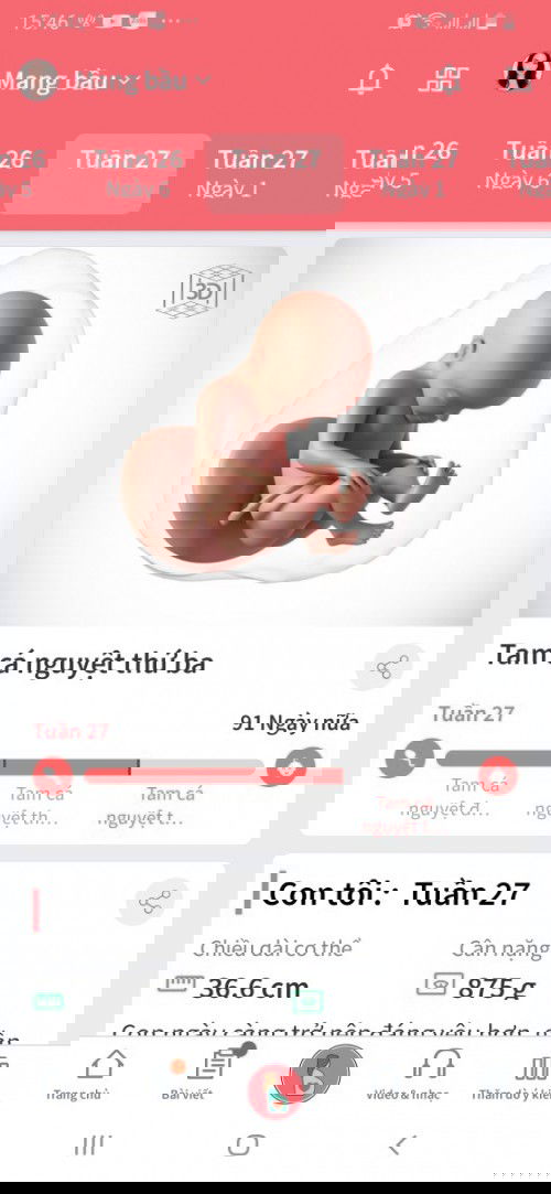 Tham khảo mang thai