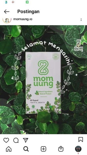 Kapsul katuk momuung