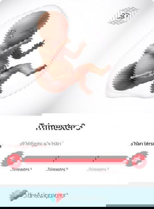 Sudah memasuki week 40