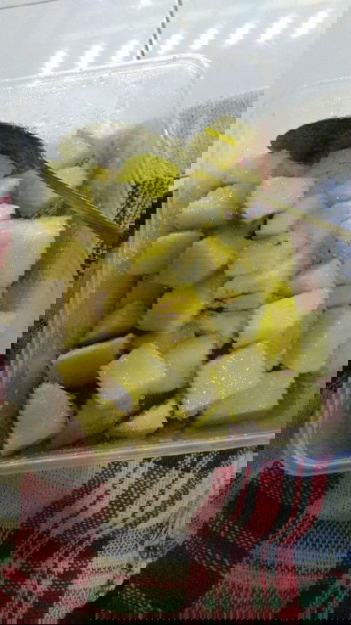 JAMBU MENTE / JAMBU MONYET