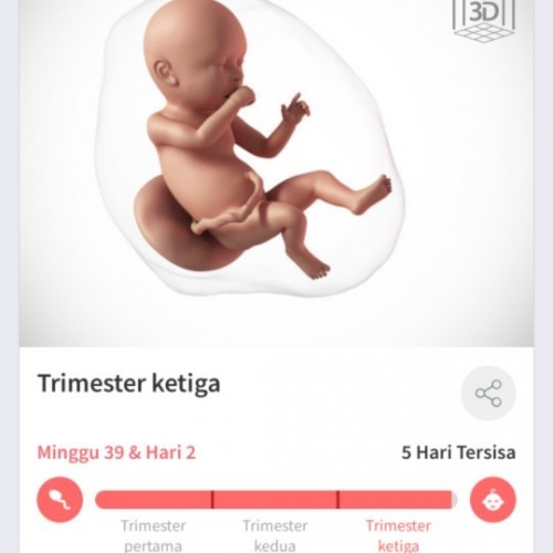 Tanda-tanda melahirkan
