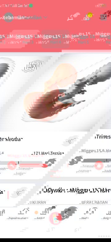 Kalok udah 15week trus periksa ke bidan di kasih kapsul suplemen makanan,diminum gk ya??