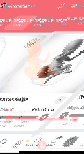 Menunggu gelombang cinta